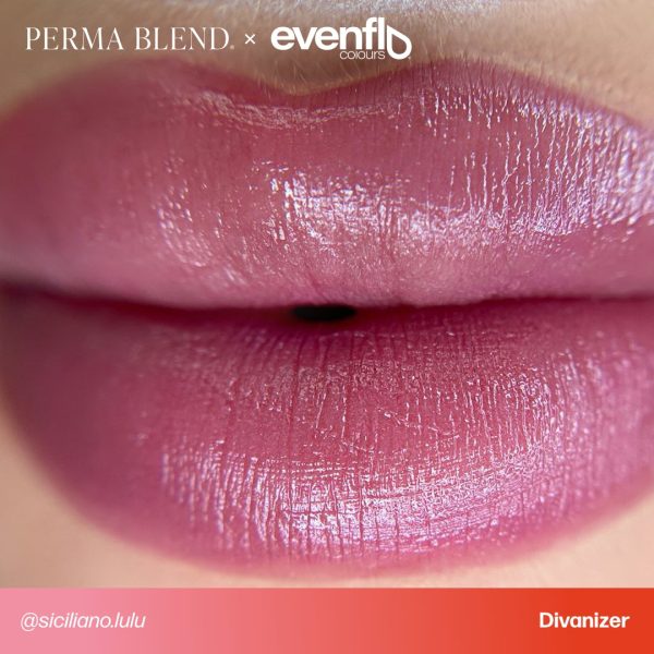 Perma Blend Luxe - Evenflo Divanizer - Inchiostro - tattoomarket.it