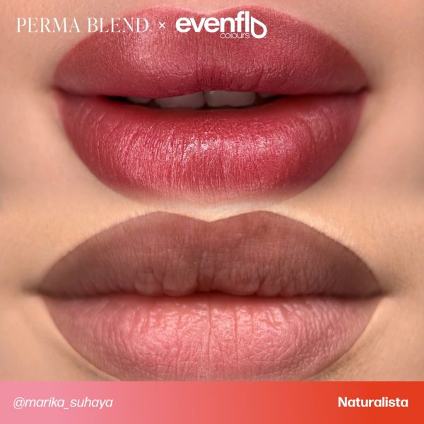 Perma Blend Luxe - Evenflo Naturalista - Inchiostro - tattoomarket.it